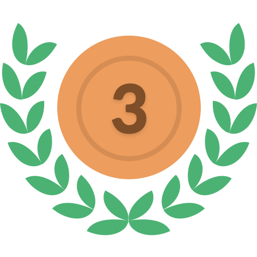Bronze Medal