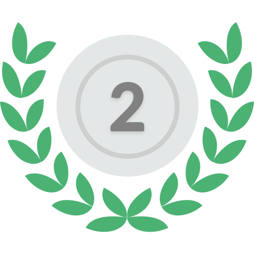 Silver Medal
